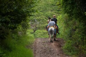 Paseo a caballo por la selva de Iguazú