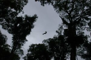 Jungle Fly aventura en la jungla en Iguazú